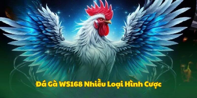 Đa dạng lựa chọn kèo cược