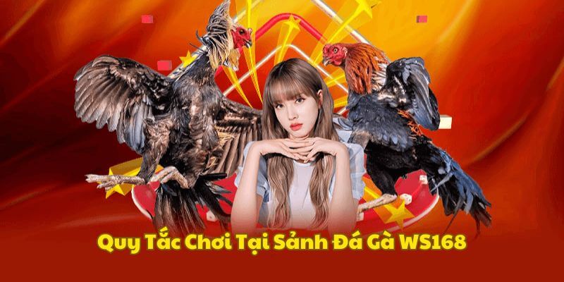 Quy tắc tham gia cược đá gà tại WS168 trên E2Bet
