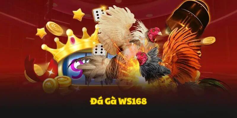 Tổng quan chung sảnh game đá gà WS168 tại E2Bet